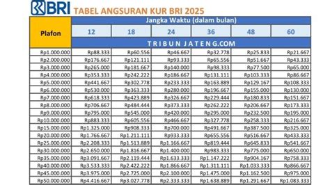 berapa lama proses pencairan topup kur bri 2017 cek detail voucher 20 voucher vp tanpa pajak pilihan image 4
