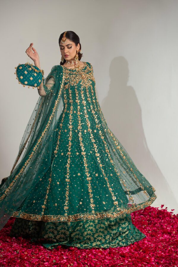 Noorain - Image 5