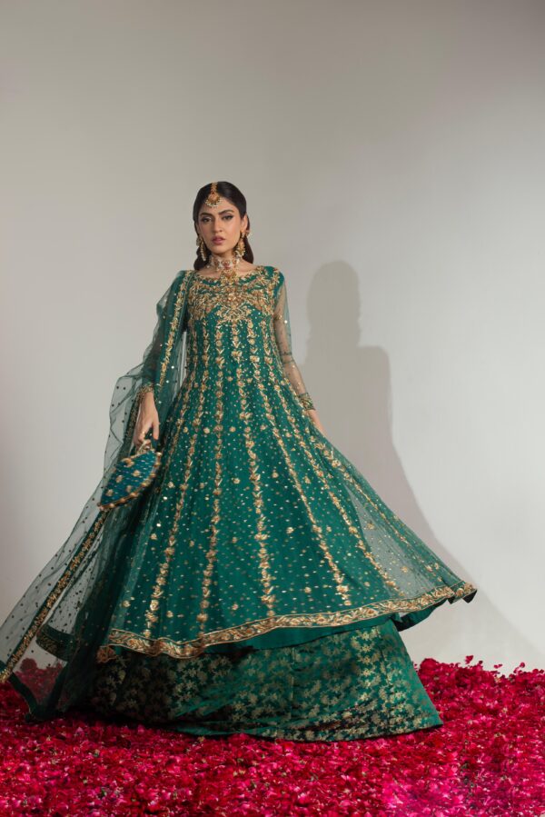 Noorain - Image 3