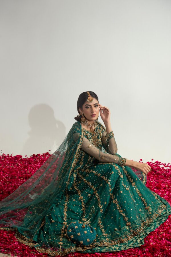 Noorain - Image 2